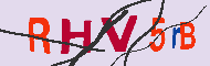 Code captcha