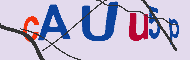 Code captcha